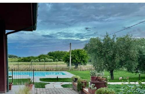 La casa delle fragole - Foto 6