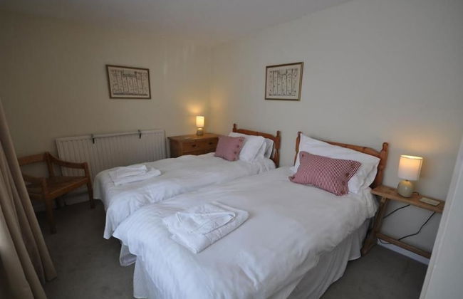 Green Door Rose - Photo 2