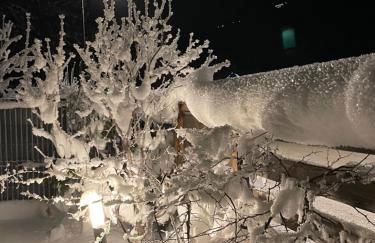 Le murmure de l'Isère - Photo 32