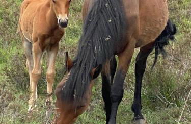 Stunning Rustic Home, New Forest National Park - Photo 49