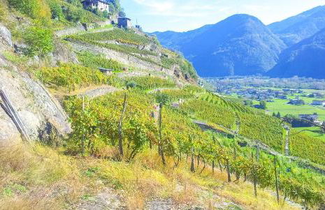 Bilocale indipendente tellino - Foto 11