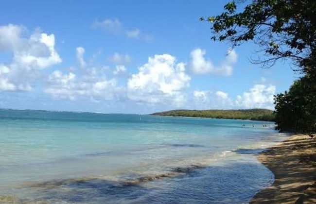 A Dream Condo With Private Pool At 7 Seas Beach - Photo 13