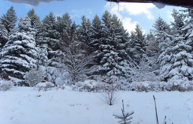 Wohnung bei Willingen fur Wintersport - Foto 34