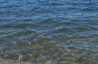 Water View Home - Foto 10