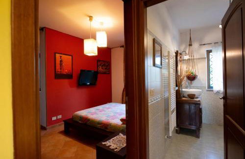 The Auroras nest - Foto 9