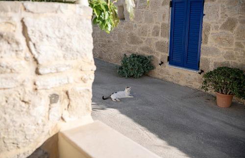 Villa Anastasia - Photo 47