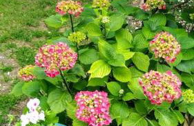 La tour du logis, gîte 4 * à 15 min du Futuroscope - Foto 14