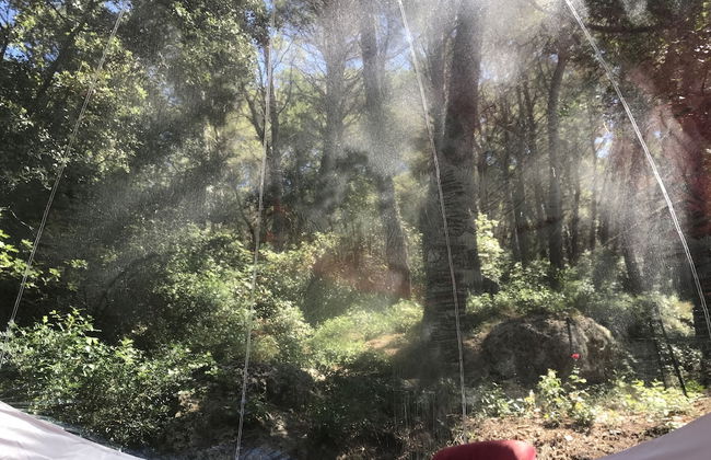 Domaine de la Tuilière - Foto 36