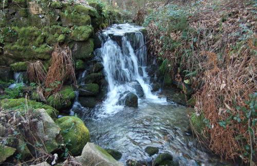 Quinta dos Caibrais - Foto 63