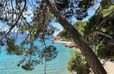 Great outdoor living steps away from the beach - Photo 22