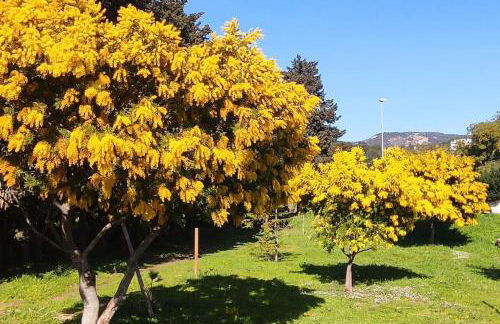 Villa Les Brouadettes - Foto 26