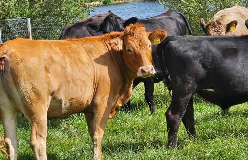 The Hideaway - Foto 22