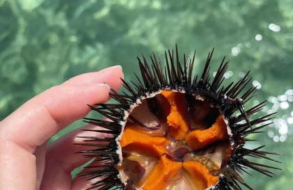 Baia verde 71 - Foto 38