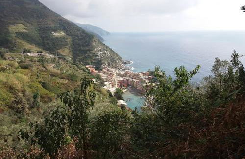 La Calla Rossa - Foto 14