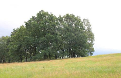 Apfelscheune Cannewitz - Foto 58