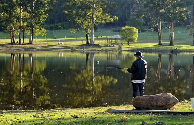 Diamond Forest Farm Stay - Foto 43