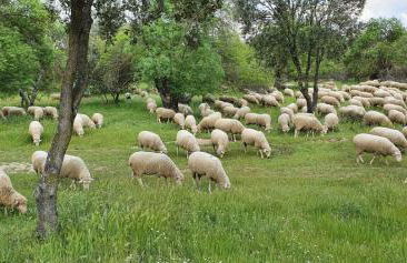 Casa Pozo Tarama - Foto 37