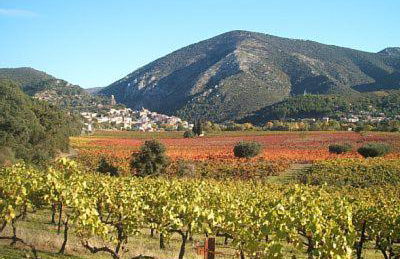 Bel appartement, terrasse plein sud, Vieux Village - Foto 12