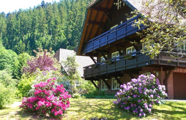 Hideaway Near Black Forest - Foto 17