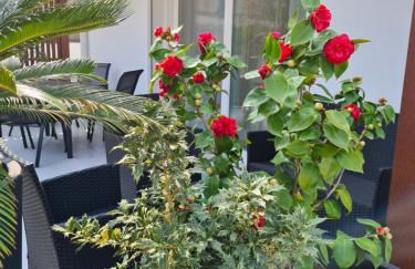 Residence Klima House de Vilos - Foto 58