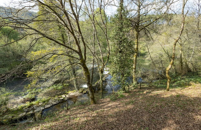 Quinta do Rio Homem - Photo 36