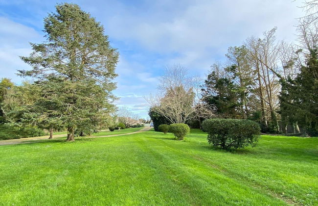 Semi-detached House on a Vineyard, Talais - Foto 28