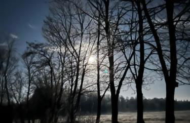 Ferienwohnung Sort Sol Grellsbülldeich 7 - Foto 40