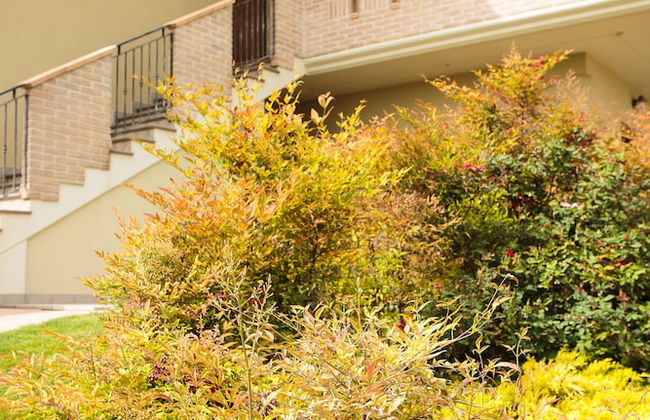 Hotel Residence Eden - Foto 64