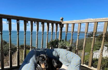 Mesmerising sea views - Penrose - above the beach Cornwall. - Foto 10