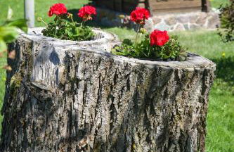 Apartamenty Osowa nad jeziorem Okmin - Foto 61