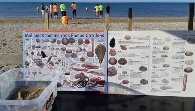 Learning about types of seafood