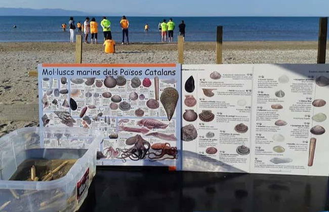 River Ebro Seafood Workshop + Mussel Tasting - Photo 2