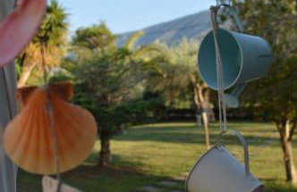 Sunny Garden - Foto 20