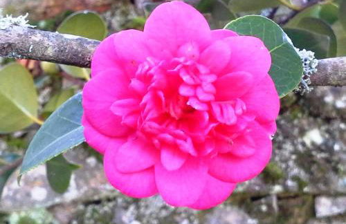 Villa Lugar do Pego - Foto 49