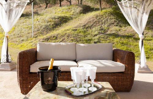 Raggio di sole, oasi di felicità - Foto 45