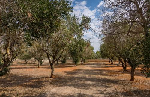 Cottage a 5 minuti dal mare - Foto 12