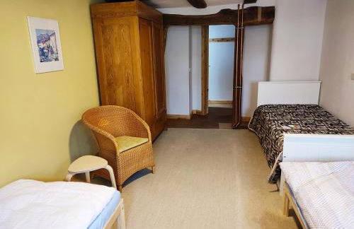 Buntspecht - Foto 18