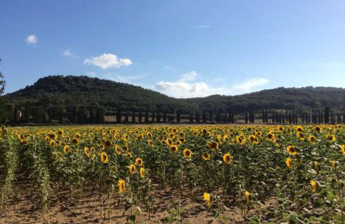 Agriturismo Bio Fattoria di Pietra - Foto 12