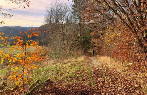 de Vinkenborg 8 pers nabij Winterberg - Foto 41