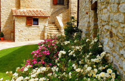 Sasseta Alta - Foto 54