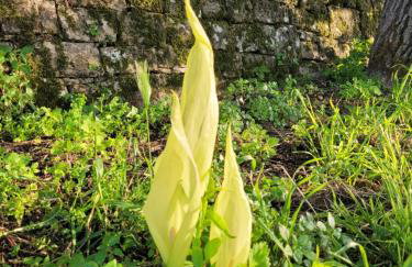 Casa Acqua Dolce - House with 4 Bedrooms and Own Spa - Foto 67