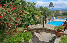 Quinta do Ribeiro - Covilhã - Serra da Estrela - Foto 23