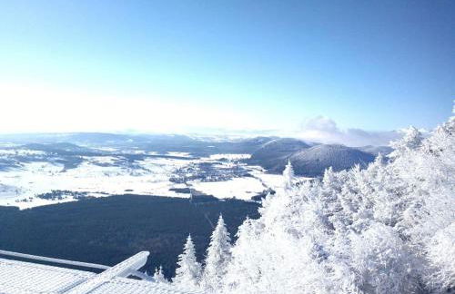 Cœur de volcan - Foto 22