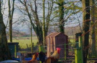 Meadow Barn - Foto 27