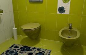 Apartman Staro Petrovo Selo - Foto 11