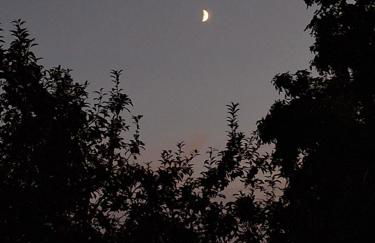 Ferienhaus Mühlfeldner - Foto 8