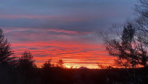 Artful Lodging & Retreats - Photo 2