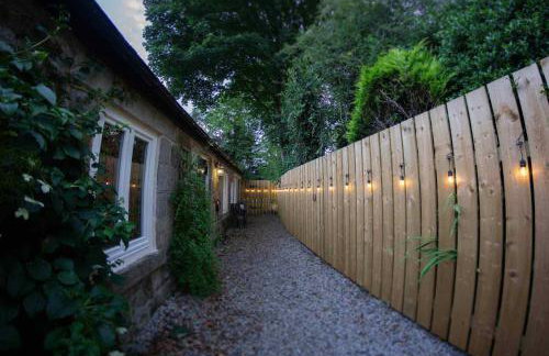 The Potted Pineapple - Foto 1