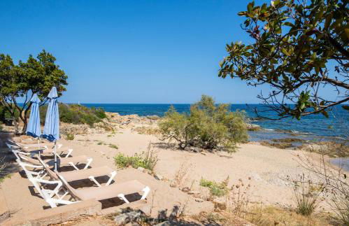 Domaine de Pianiccia - Foto 9