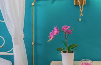 Windrose Blue Home - Foto 9